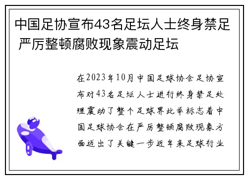 中国足协宣布43名足坛人士终身禁足 严厉整顿腐败现象震动足坛