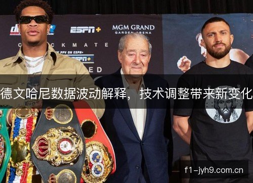 德文哈尼数据波动解释，技术调整带来新变化